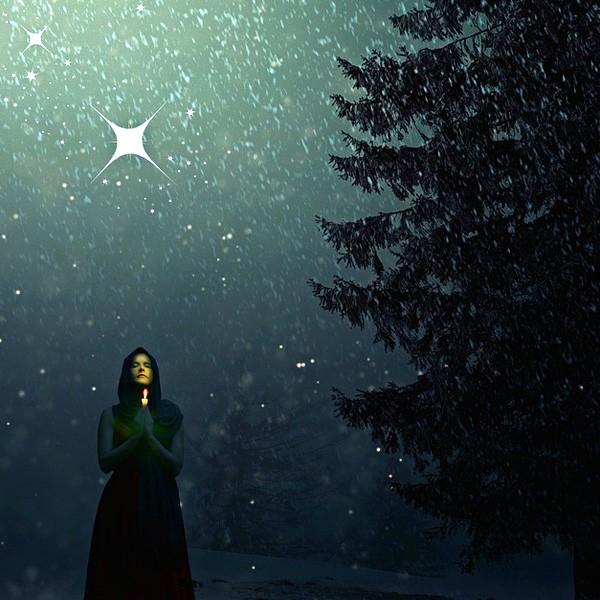 About Astrology Celtic Tree Signs