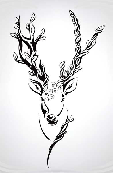 Celtic Animal Signs and Celtic Zodiac