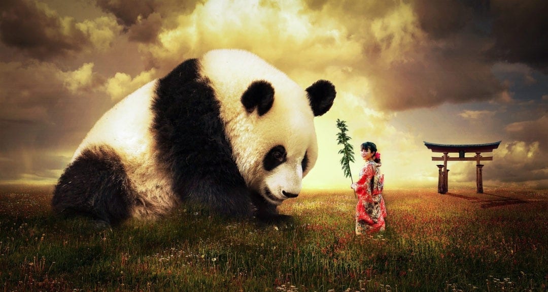 Chinese Animal Symbols And Animal Meanings On Whats Your Sign