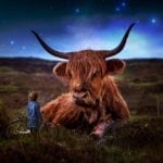 dream meanings and animals in dreams
