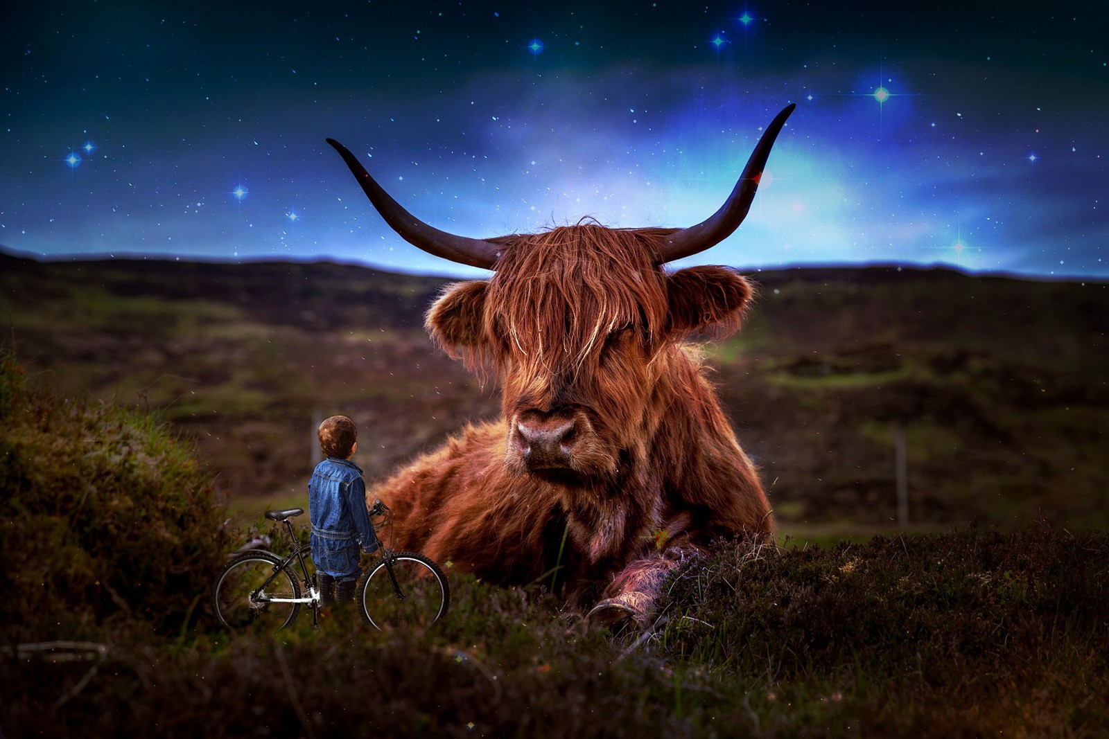 Dream Meanings and Animals