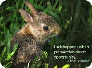 GoodLuckSymbolsAnimals2