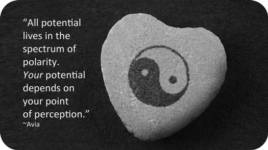law of polarity meaning