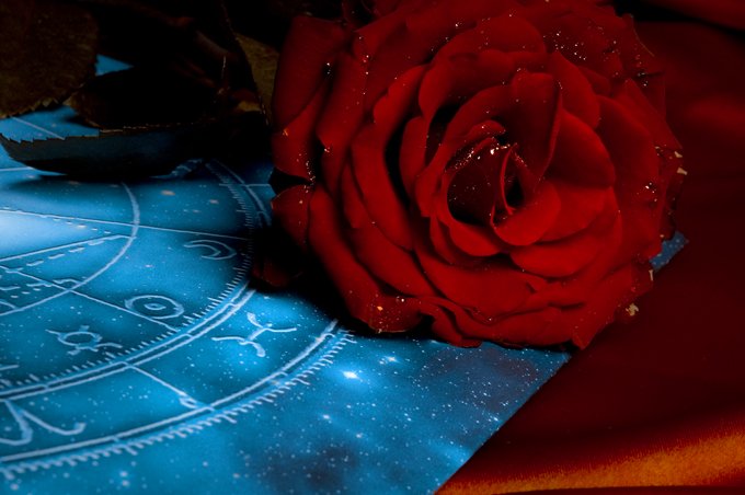 rose meaning in zodiac signs