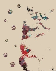 Animal Symbolism Cat Prints And Meanings on Whats-Your-Sign
