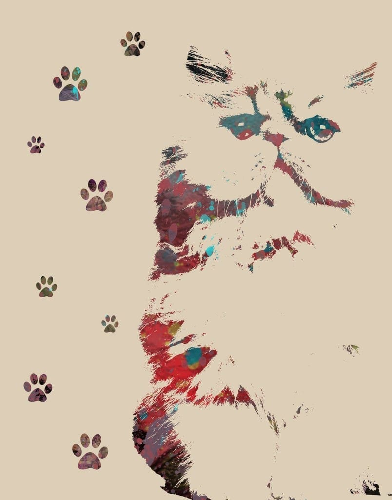 animal symbolism cat prints