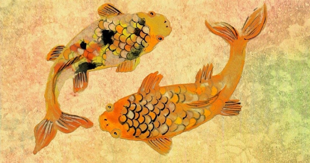 animal symbolism koi fish tattoo meanings