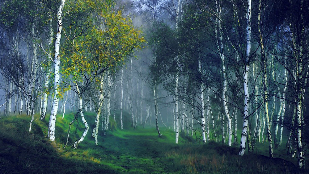 celtic meaning of the birch tree