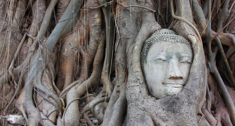 Bodhi Tree Symbolism