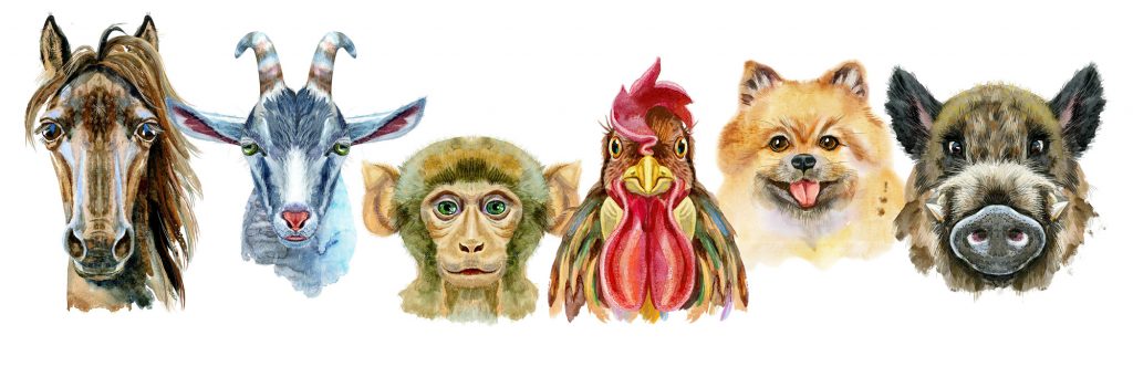 Chinese Zodiac Animal Signs And Chinese New Year Meaning
