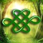 Celtic Dara Knot Meaning