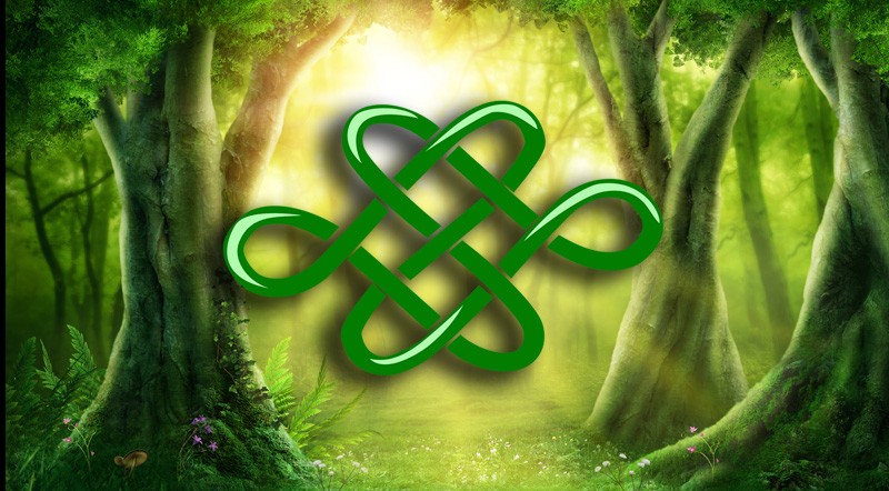Dara Celtic Knot Meaning