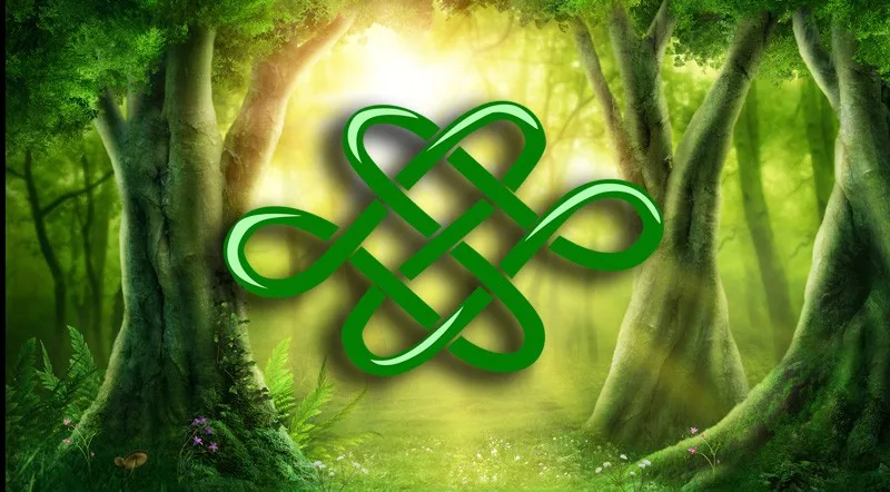 Dara Celtic Knot Meaning
