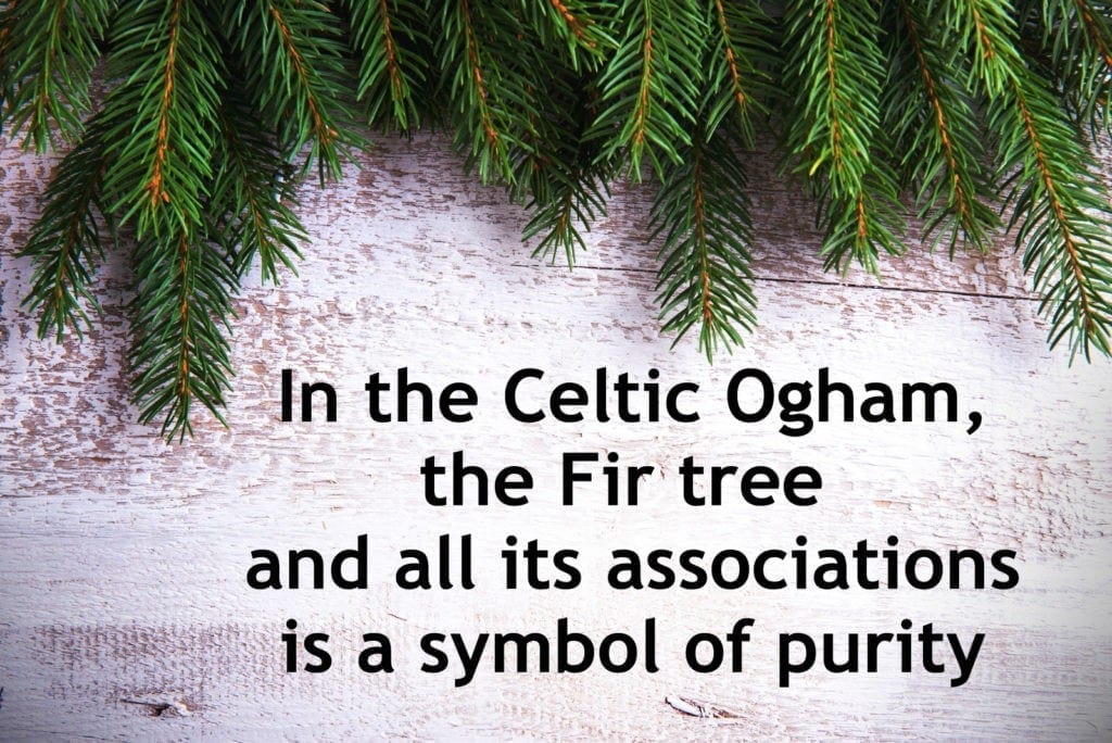 Celtic Symbol for purity in the Celtic Ogham