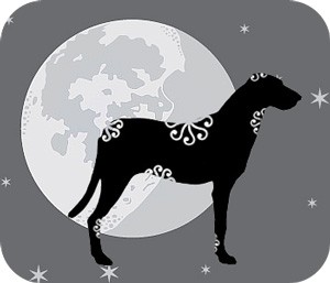 Chinese zodiac signs and moon phases with animal zodiac meanings