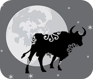 Chinese zodiac signs and moon phases with animal zodiac meanings