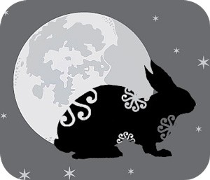 Chinese zodiac signs and moon phases with animal zodiac meanings