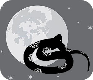 Chinese zodiac signs and moon phases with animal zodiac meanings