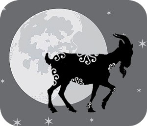 Chinese zodiac signs and moon phases with animal zodiac meanings