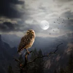 dream meanings of animals and introduction to dreaming of animals