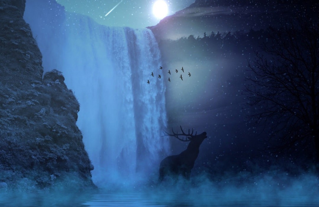 Dream Meanings and Animal Meanings in Dreams on WhatsYourSign