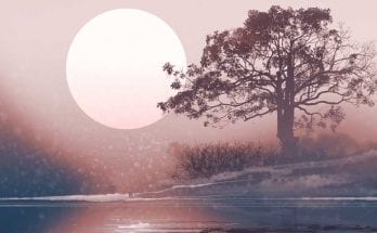 druid signs and celtic astrology
