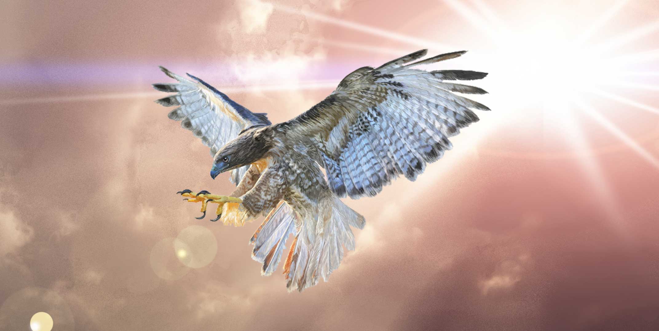 Falcon Tattoo Ideas