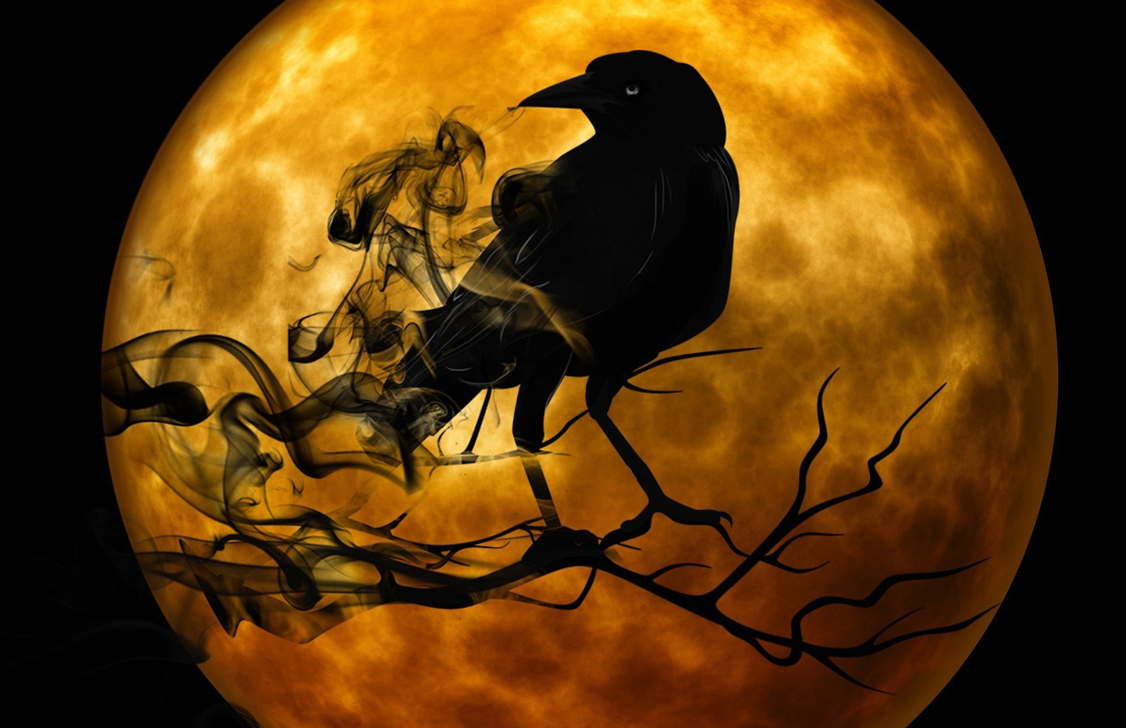Symbolic Meaning of Black Birds on WhatsYourSign