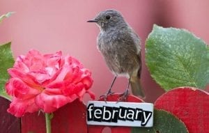 February meaning and symbolism