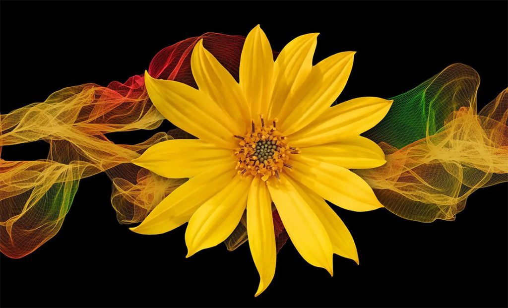 Flower Meanings in Dreams Interpreting Flower Dreams. WhatsYourSign