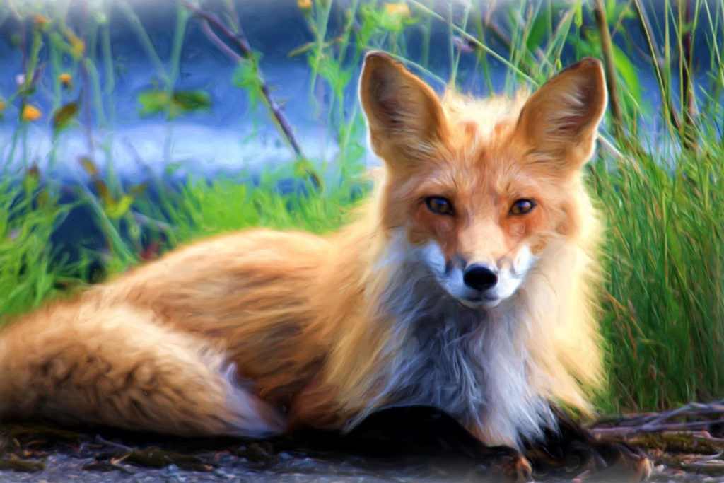 Fox tattoo ideas and fox meanings