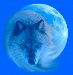 January meaning and wolf moon meaning