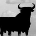 bull meaning and the month of June