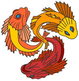 koi tattoo meaning and Japanese koi meaning