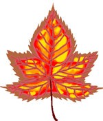 maple leaf love symbol meaning