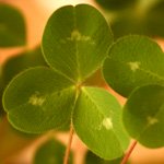 shamrock meaning and month of march meaning