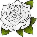 white flower meaning