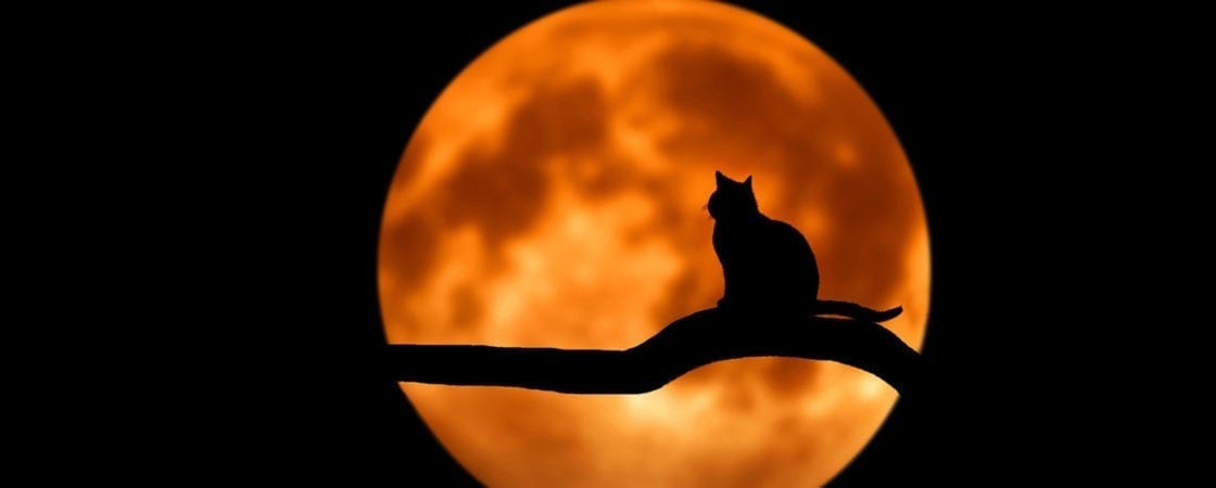 meaning of Halloween symbols