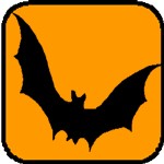 bat meaning and halloween symbols