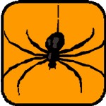 spider meaning as a Halloween symbol