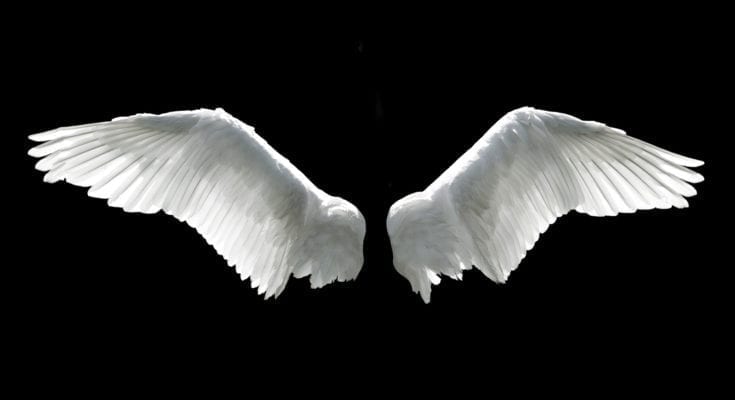 pegasus whatsyoursign pegasus whatsyoursign