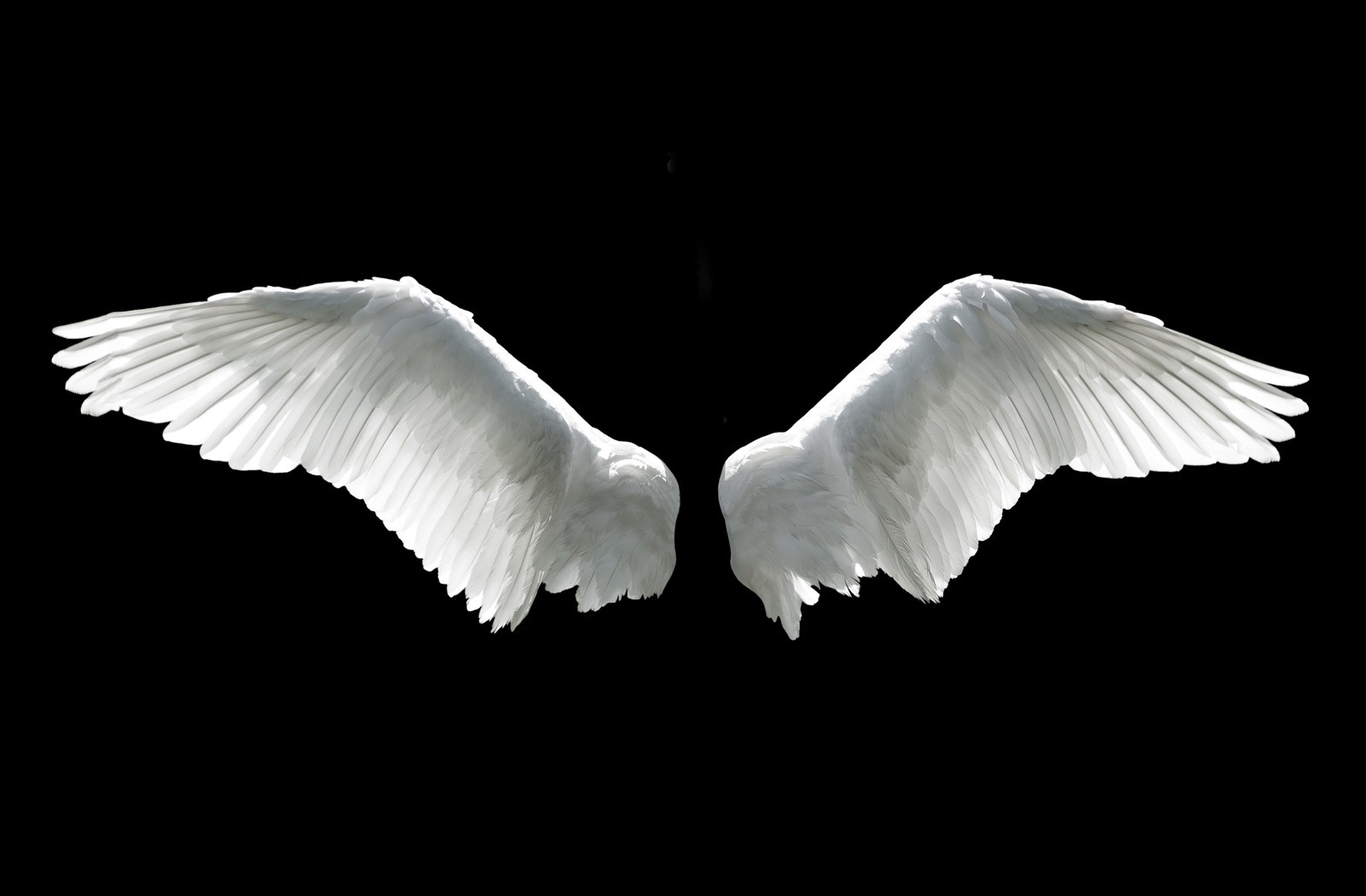 Meaning of Wings