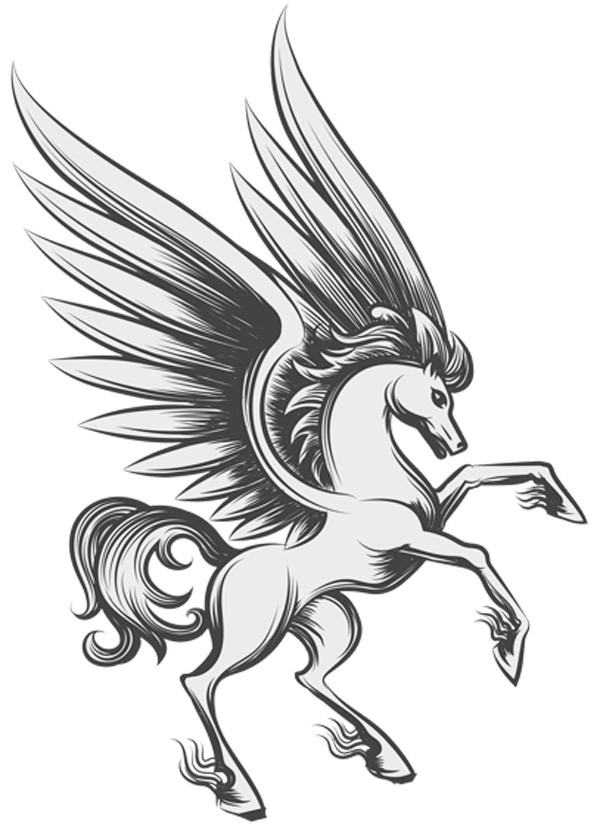 pegasus and meaning of wings.