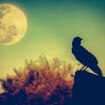 Native American Full Moon Names