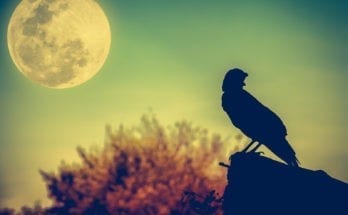 Native American Full Moon Names