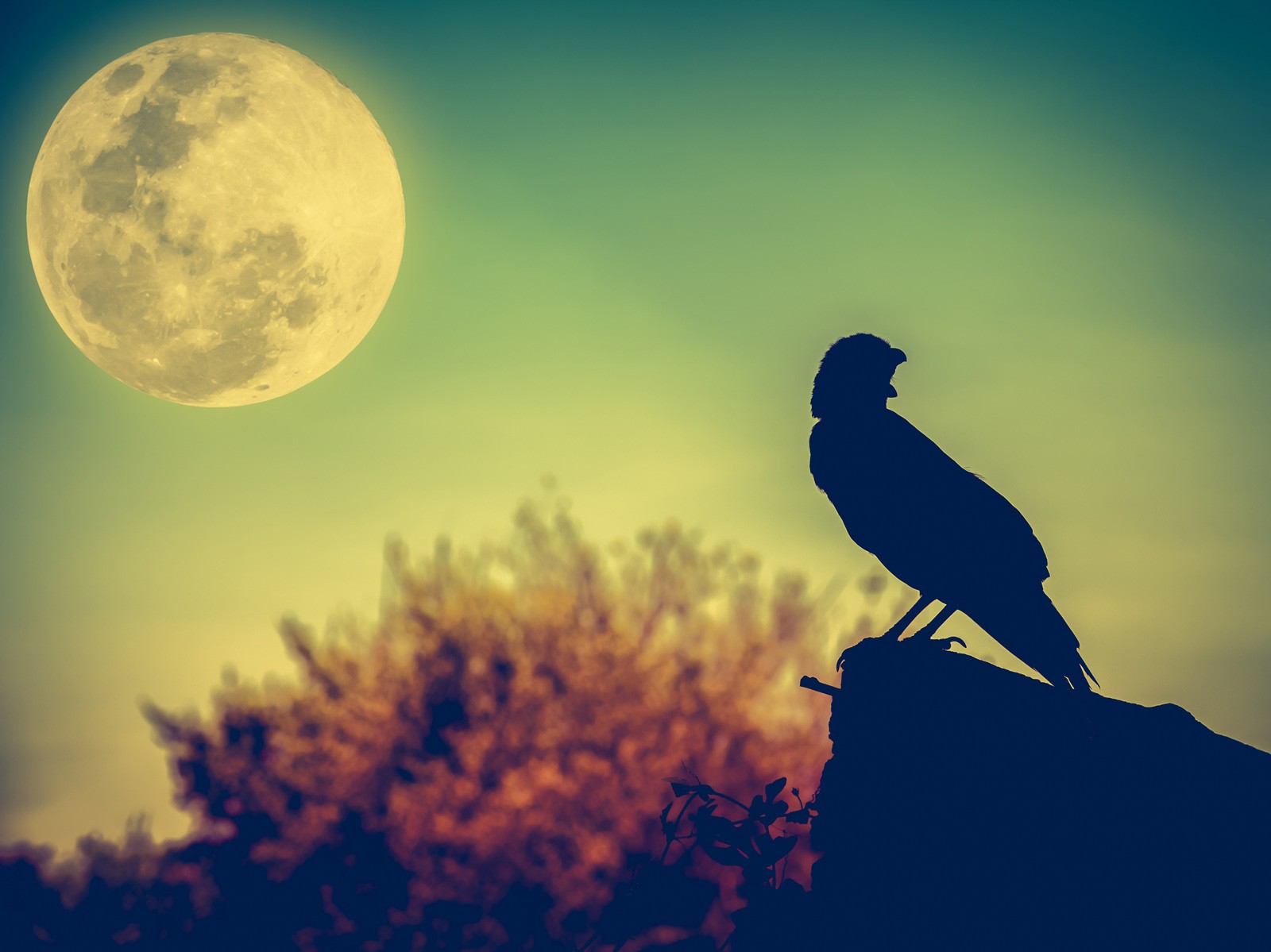 Native American Full Moon Names And Meanings On Whats Your Sign