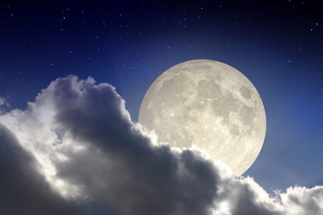 Twin Flame Birthday Calculator Happy Birthday