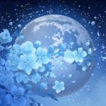 moon tattoo ideas