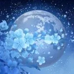 moon tattoo ideas