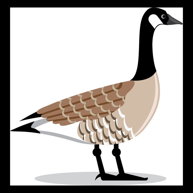 goose meaning and mother symbol